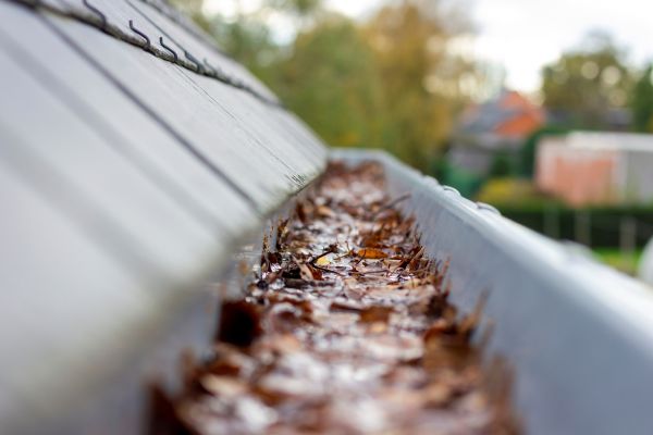 Cost of Commercial Gutter Cleaning in Lincoln
