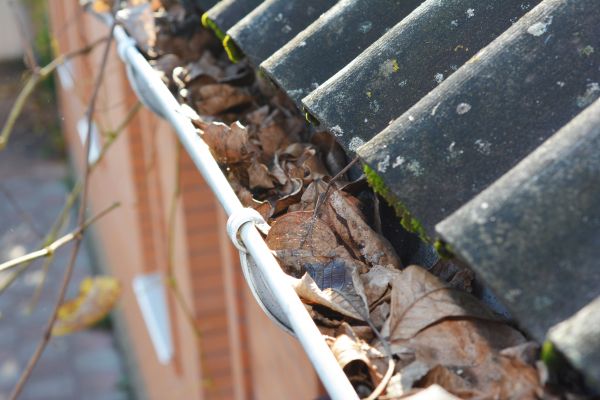 Cost of Home Gutter Cleaning in Lincoln
