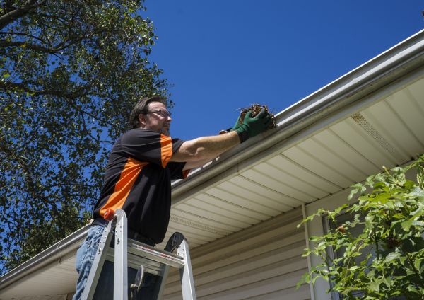 Cost of Eavestrough Clearing in Lincoln