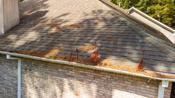 Cost of Gutter Pine Needle Removal in Lincoln
