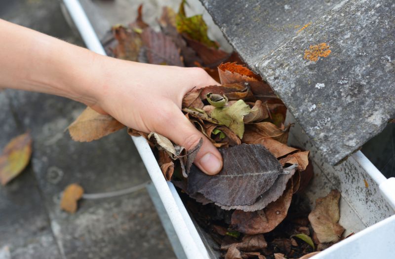 Gutter Debris Removal