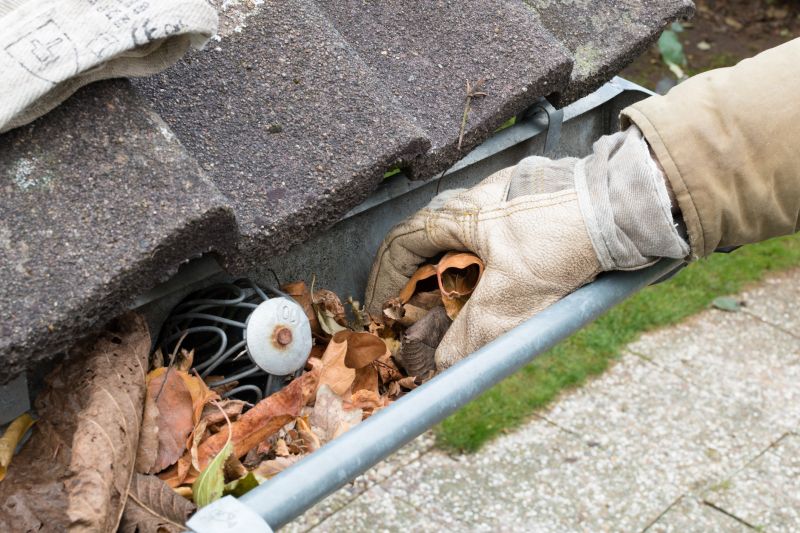 Gutter Drain Maintenance