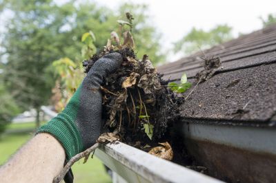 Roof Gutter Debris Removal